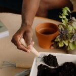 How to Start a Small Herb Garden Indoors: A Beginner’s Guide